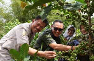 Foto : Desa Prangat Baru Didorong Jadi Sentra Industri Kopi Luwak Kaltim. (Istimewa)