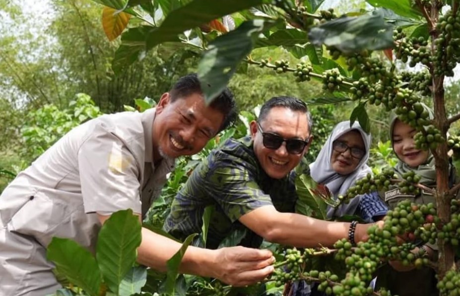 Foto : Desa Prangat Baru Didorong Jadi Sentra Industri Kopi Luwak Kaltim. (Istimewa)